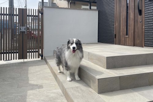 千葉外構ワンちゃんお庭
